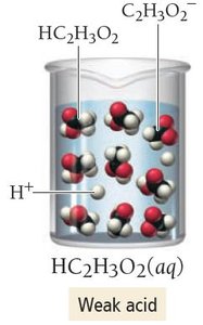 Weak acid: HC2H3O2(aq)