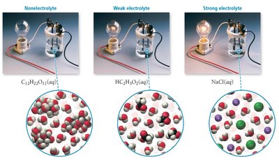 Comparison of nonelectrolyte, weak electrolyte, and strong electrolyte