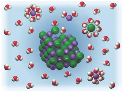 Ionic compound dissolving in water, showing solvation spheres