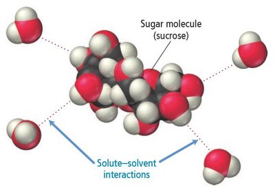 Sugar molecule surrounded by water molecules