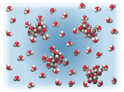 Molecular view of sugar dissolved in water