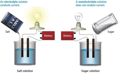 Comparison of electrolyte and nonelectrolyte solutions conducting electricity