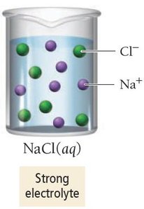 Strong electrolyte: NaCl(aq)