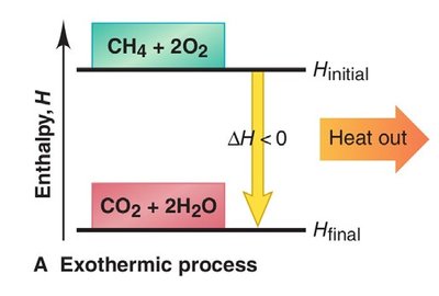 Exothermic process energy diagram