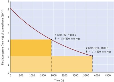First-order half-life graph