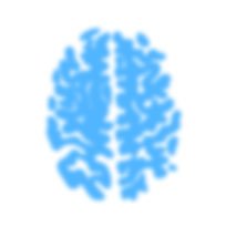 MRI brain scan image 1