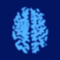 MRI brain scan image 2