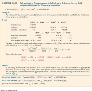 Example calculation for sulfuric acid