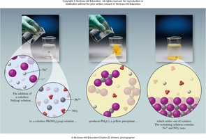 Molecular-level view of precipitation reaction
