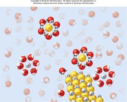 Hydration of ions by water molecules