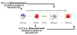 Brønsted acid-base reaction with ammonia and water