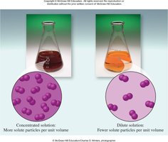 Concentrated vs. dilute solution