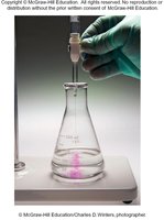 Titration setup with buret and flask
