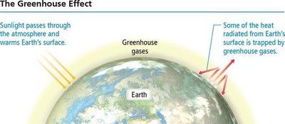 The Greenhouse Effect