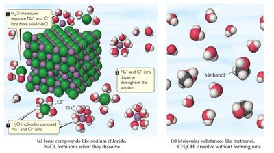 Dissolution of ionic and molecular compounds in water
