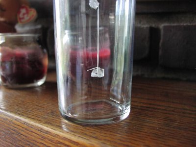 Rock candy crystals forming on a string in a glass, illustrating seeding and crystallization