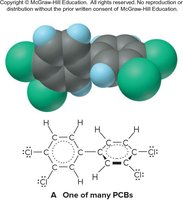 Structure of a PCB (polychlorinated biphenyl)