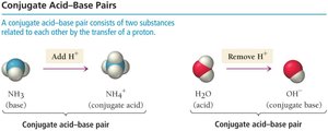 Conjugate acid-base pairs