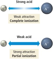 Table of weak acid ionization constants