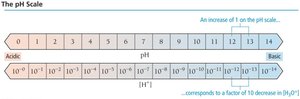 Logarithmic nature of the pH scale