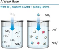 Weak base ionization in water