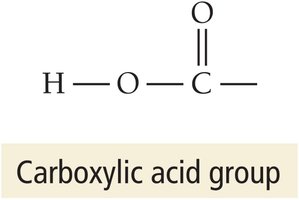Carboxylic acid group structure