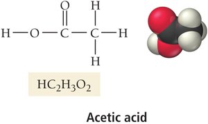 Acetic acid structure and model