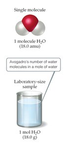 Comparison of mass of one molecule and one mole of H2O