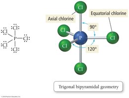 Trigonal Bipyramidal Geometry Example (PCl5)