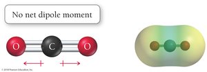 No Net Dipole Moment in CO2