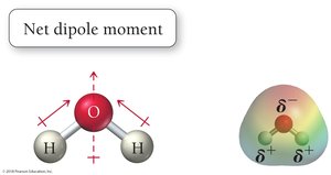 Net Dipole Moment in H2O