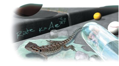 Arrhenius equation and chemical context