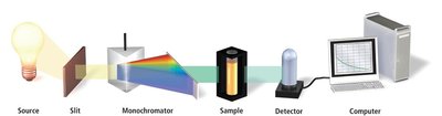 Spectrometer setup