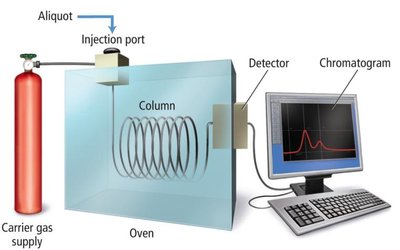Gas chromatography setup