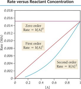 Rate vs. reactant concentration for different orders