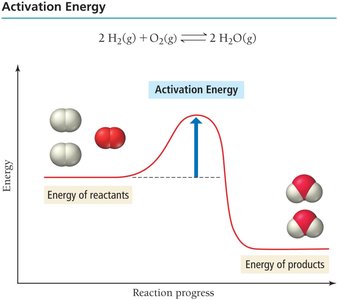 Reaction energy profile with transition state