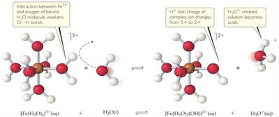 Hydrolysis of transition metal cations