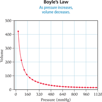 Boyle's Law: P and V relationship