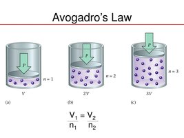 Avogadro's Law: molecular view