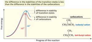 Energy diagram showing transition state and carbocation stability