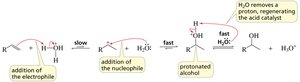 Mechanism of acid-catalyzed hydration