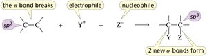General features of electrophilic addition reactions