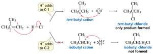 Mechanism of electrophilic addition and carbocation formation