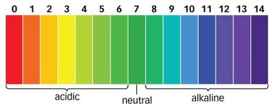 pH scale from 0 to 14, showing acidic, neutral, and alkaline regions