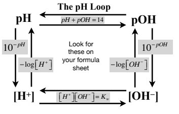 Diagram showing the relationships between pH, pOH, [H+], and [OH-]