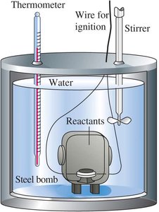 Temperature profiles for exothermic and endothermic reactions