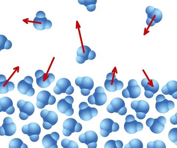 Molecular motion in a gas