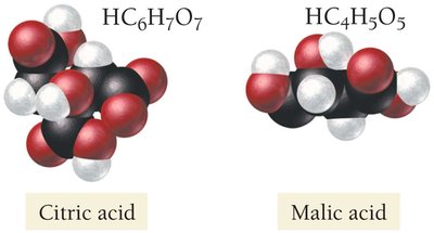 Molecular models of citric acid and malic acid