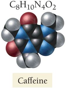 Molecular model of caffeine, a bitter base in coffee