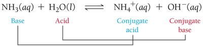 Brønsted–Lowry acid-base reaction: NH3 and H2O